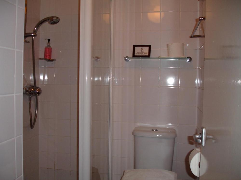 Burcott Mill Guesthouse Уелс Екстериор снимка